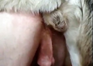Her pussy gets destroyed by a dog