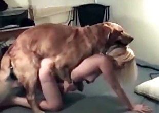 Intense doggy pounding its owner