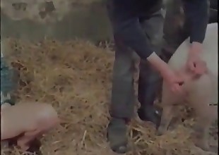 Barn fucking for a hot, nasty pig